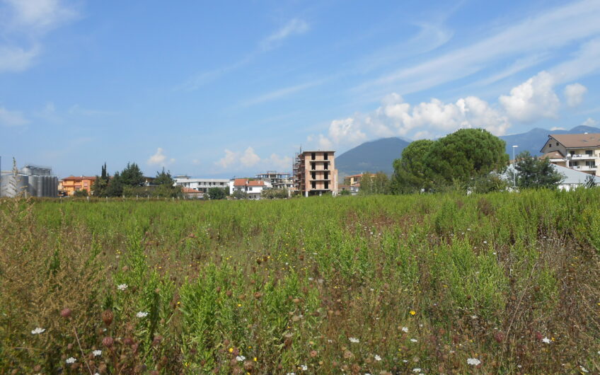 TERRENO AGRICOLO ZONA PIANA IN PARTE EDIFICABILE